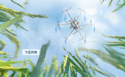 噴灑農藥的無人機 噴灑農藥的無人機